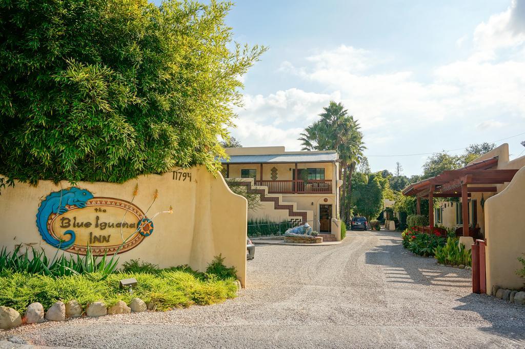 Blue Iguana Inn Ojai Exterior foto